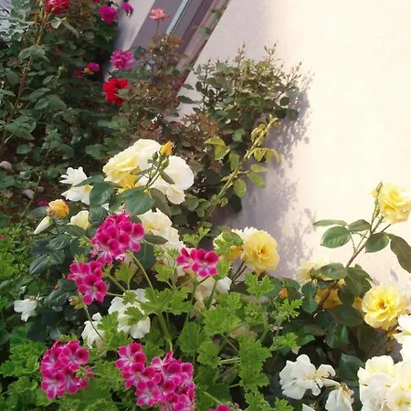 Apartments By The Sea Orebic, Peljesac - 11182 Orebic