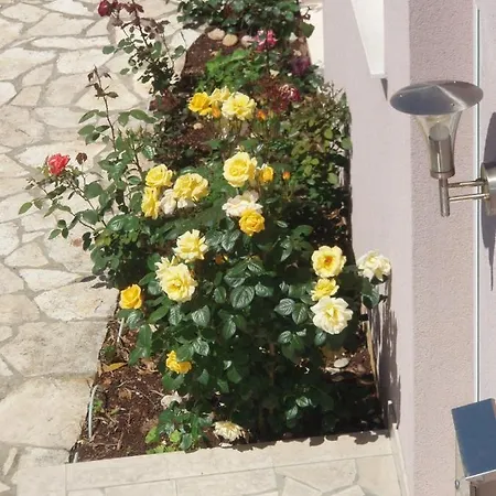 Apartments By The Sea Orebic, Peljesac - 11182 Apartman *