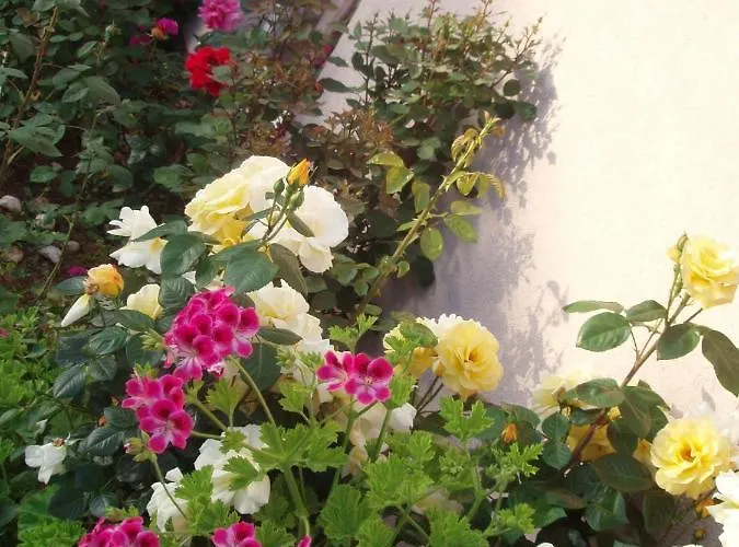 By The Sea Orebic, Peljesac - 11182 Orebić