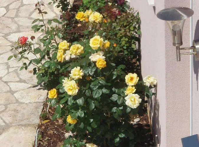 By The Sea Orebic, Peljesac - 11182 Apartament *